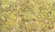 Vincent Van Gogh A Field of Yellow Flowers (nn04) china oil painting reproduction